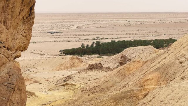 Panoramic view of Chebika oasis with vibrant palm trees surrounded by Tunisia's Sahara desert landscapes