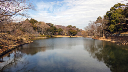 池のある公園