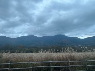 Fototapeta premium japan countryside 