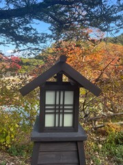 japanese lamp in fall 