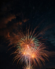 Fototapeta premium The fireworks display features a variety of colors and patterns.