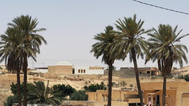 Desert village with palm trees in Matmata, Tunisia under clear skies