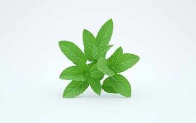 Obraz premium Fresh Mint Leaves on Light Background for Cooking