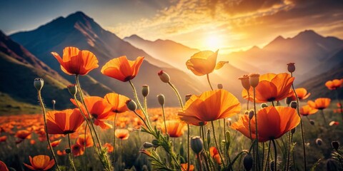 Vintage Photo: Vibrant Orange Poppies Blooming Against Majestic Mountains