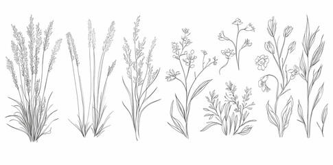 Botanical Illustration: An intricate botanical illustration of assorted plants showcases delicate linework, capturing the beauty of nature with fine details.