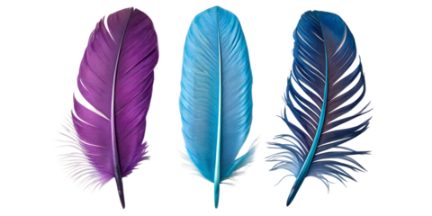 Vibrant Purple and Green Feathers for Nature and Bohemian Style Home Decor, PNG Transparent