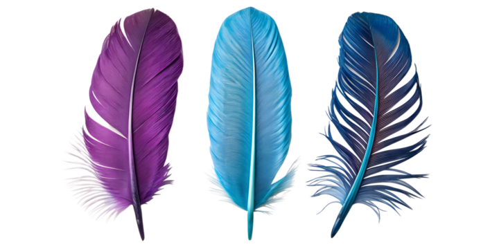 Vibrant Purple and Green Feathers for Nature and Bohemian Style Home Decor, PNG Transparent