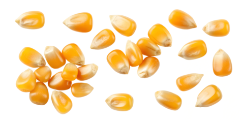 Flying Corn Seeds on White for Farming and Crop Concept Imagery, PNG Transparent