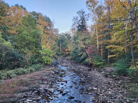 Autumn woods in full color on a hike
