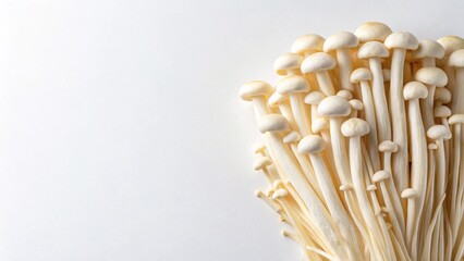 Fresh Enoki Mushrooms on White Background