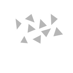 Fototapeta premium geometric triangle fraction pattern