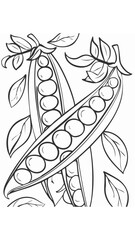 Obraz premium Pea Vegetable Vegan Food Meal Healthy Coloring Kid Book Page in Black and White. Monochrome and Colored Samples 