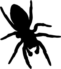 black silhouette of a spider