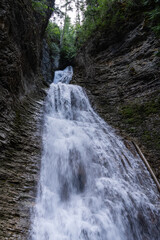 Margaret Falls loop trail with mountain stream near Shuswap lake British Columbia with scenic...