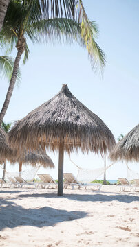 Tropical beach scene: thatched umbrellas shade white lounge chairs on a pristine sandy beach