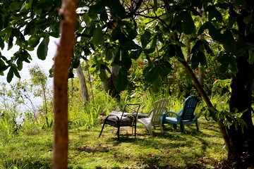 Colorful chairs are arranged on the grassy bank by a tranquil body of water. Sunlight filters through leaves, creating a peaceful retreat in nature’s embrace