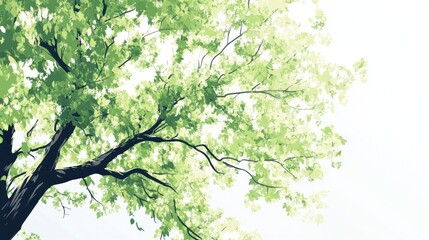 Lush green tree canopy, summer sky, nature background, website banner