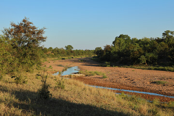 Afrikanischer Busch - Krügerpark - Tsendze River / African Bush - Kruger Park - Tsendze River /