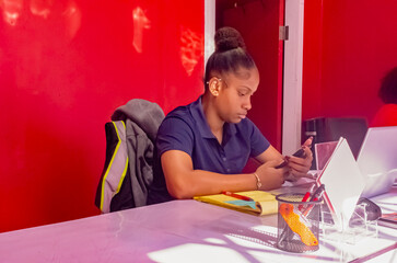 Working With A Mobile Phone
