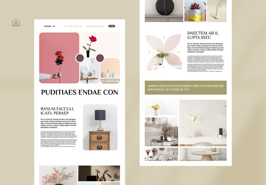 Minimal News Letter Template