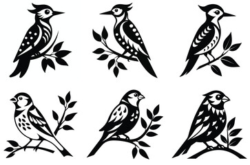collection of birds
