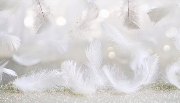 羽根が舞っているキラキラした背景