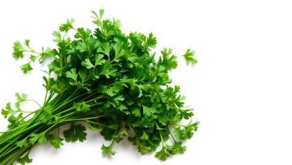 Fototapeta premium Fresh Parsley Bunch on White Background