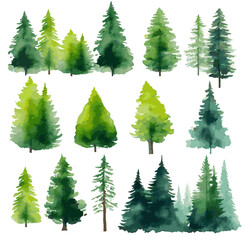 Obraz premium Vector illustration of an architectural north simple tree for landscape design in a watercolor style 