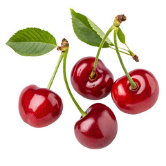 Freshly picked red cherries grouped together on a white background ready for enjoyment or culinary use in summer recipes