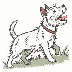 High Quality Yorkshire Terrier Dog Vector Illustration