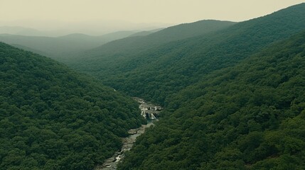 Naklejka premium Aerial view of waterfall cascading through mountain valley, misty background, nature documentary