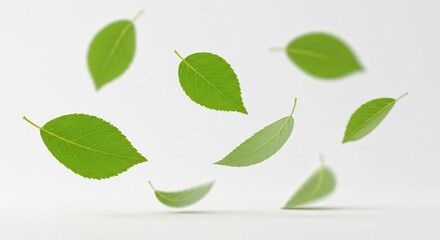 FOLHAS NO FUNDO BRANCO