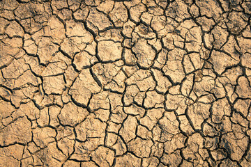 The parched ground reveals the devastating effects of drought in the background.