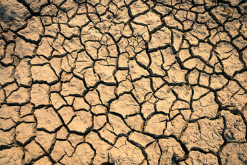 Deep cracks spread across the dry soil, highlighting the crisis of water shortage.