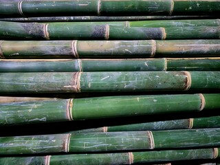 Stacked green bamboo poles with natural texture and scratches, ideal for background or eco-friendly design