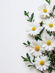 A bouquet of white daisies on the right side, with green leaves and yellow center flowers, against a plain background.