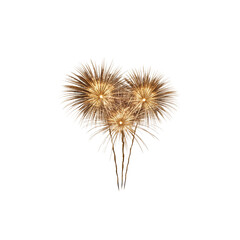 Fireworks isolated on white background. Simple style.
