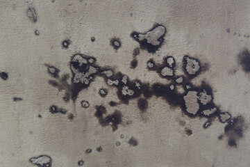 Abstract cement wall texture with mold and germs