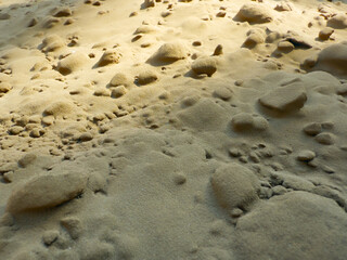 Soil Bottom or Sand, Fine Soil Texture, Abstract Background