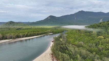 Tropical Rainforest Cape Tribulation Daintree Nature trees Australia Queensland