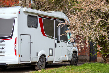 
a white camper with a red stripe placed against a brick wall near which a tree with white flowers grows.