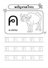 Letters, Consonants, Thai, English, Coloring, Pictures, Exercises, Skills, Practice, Write, Read, Test