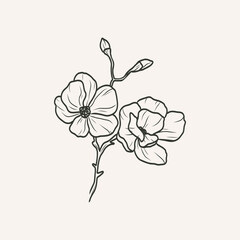 Hand drawn magnolia branch illustration © Maria