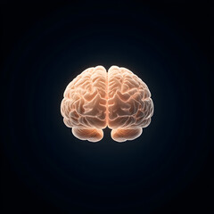3D rendered human brain glowing against dark background, symbolizing intelligence and thought
