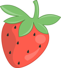 Fruit Illustration