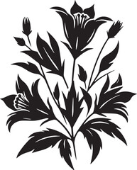 Black Color Rare flowers Silhouette Vector Illustration design, Solid White Background