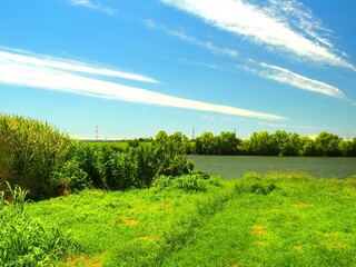 猛暑日の誰もいない江戸川の河畔風景