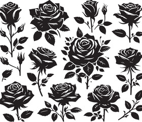 Black Color Roses Silhouette Vector Illustration design, Solid White Background