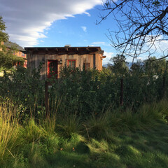 Winery Shed, CA 2016