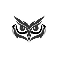 black and white owl